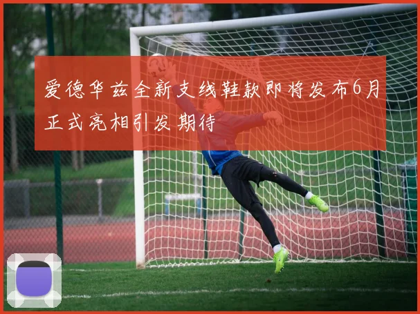 爱德华兹全新支线鞋款即将发布6月正式亮相引发期待