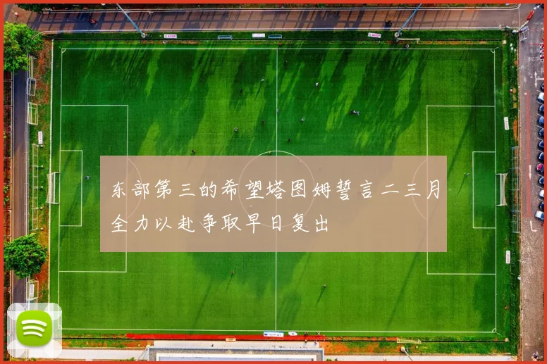 东部第三的希望塔图姆誓言二三月全力以赴争取早日复出